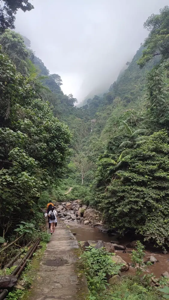 The trail to Madakaripura