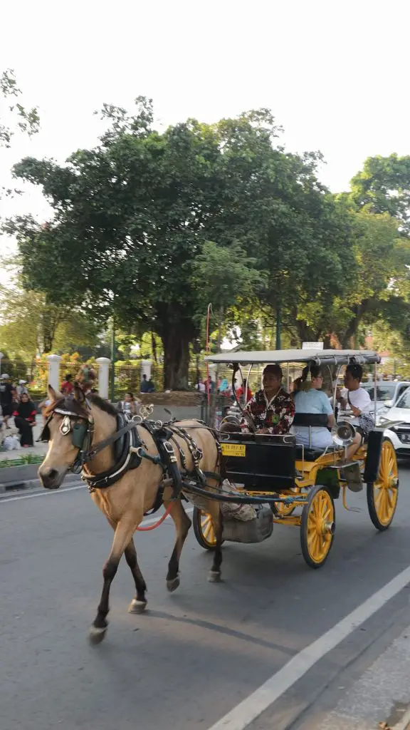 Andong horse-drawn carriage on Malioboro, Yogyakarta