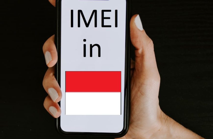 IMEI registration phone in hand