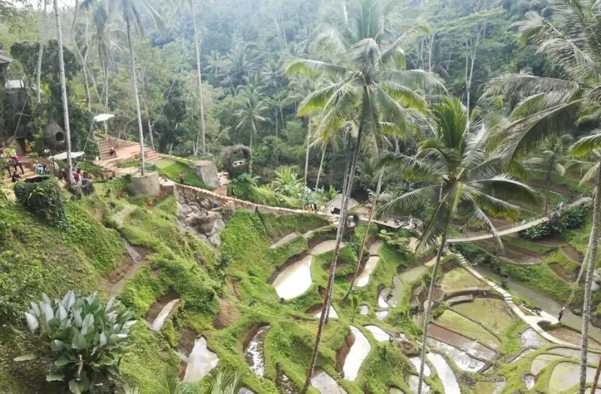 Tegallalang rice terraces in Bali during rainy season