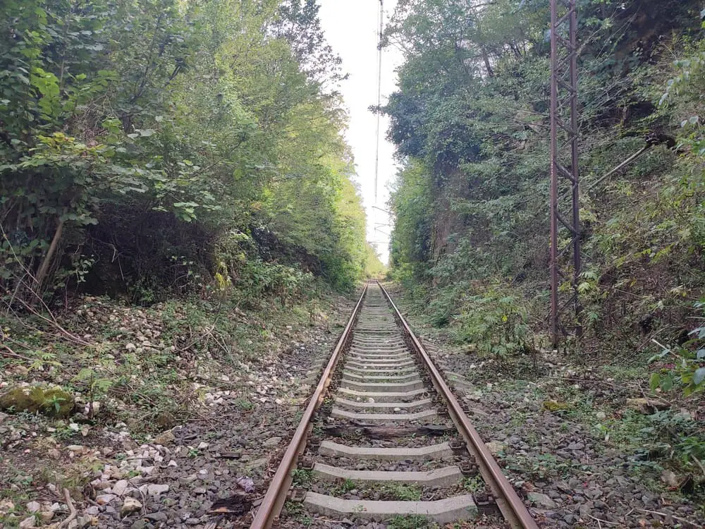 Unused train tracks between Gelati and Motsameta