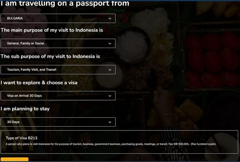 Finding the appropriate visa