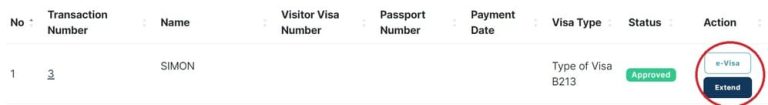 How to Apply & Extend Indonesia eVOA + Fix Problems