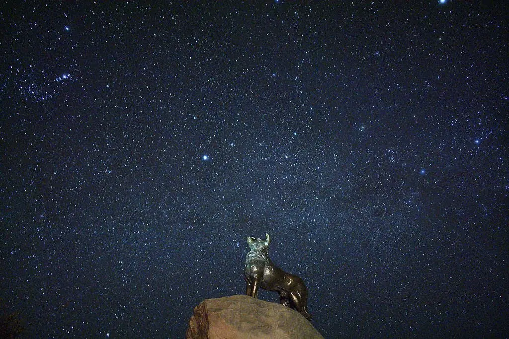 The Bronze statue of a sheepdog in Lake Tekapo against the night sky