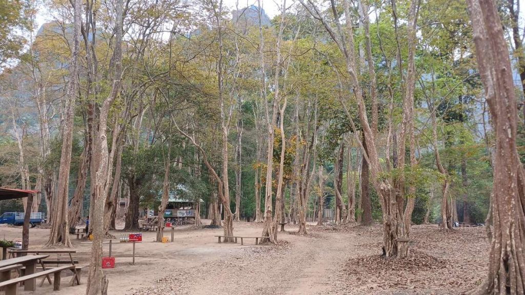 Trees and alleyways in Ban Natane boat landing area