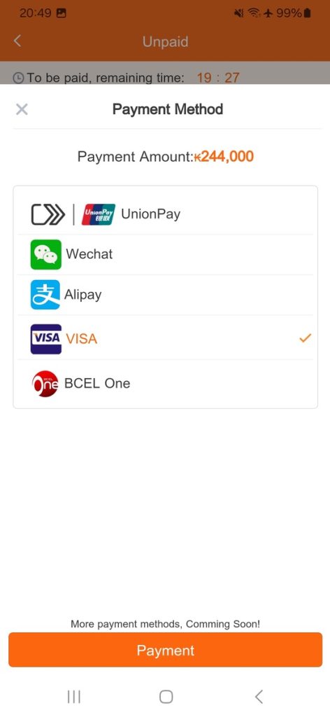 Payment options on the LCR app