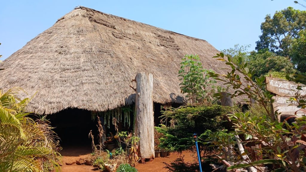 The thatched roof of Mr. Vieng's Guesthouse and coffee shop