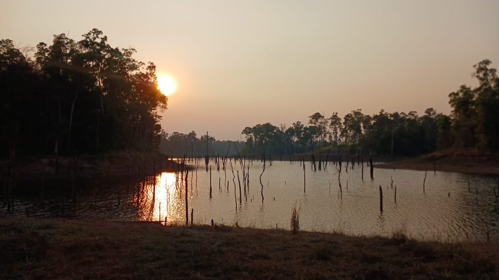 Sunset over water and dead trees near Thalang