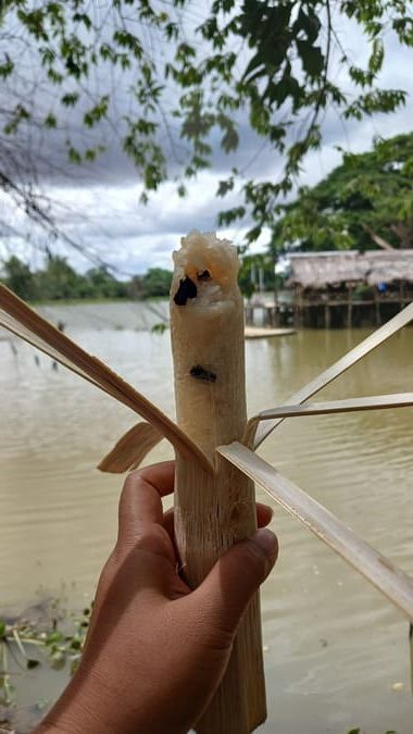 Bamboo sticky rice