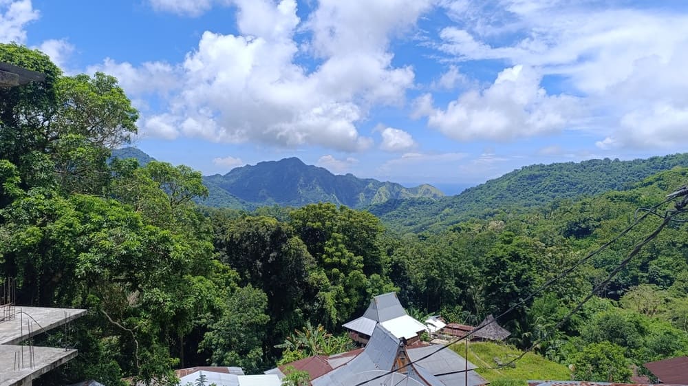 A landscape in Flores - lots of green.